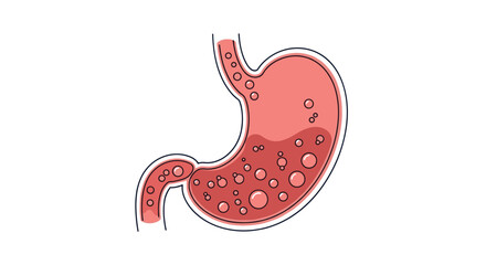 Fototapeta premium Medical illustration of the human stomach showing the digestive process with acid and bubbles during food breakdown.