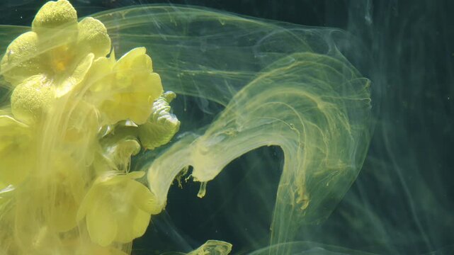 Elegant flower with flowing liquid. Detailed macro shot portraying primrose amidst swirling ink and glowing liquid streams in studio setting