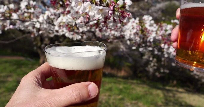 桜の前で乾杯（ビールの泡が上から見える位置）