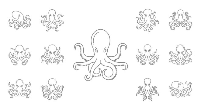 Octopus tentacles cephalopod marine animal.