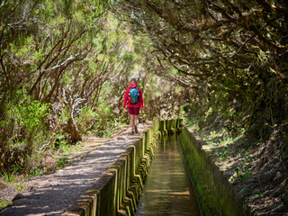 Madeira, Madera, Ilha da Madeira.  Levada do Alecrim, PR 6.2, levada, lewada © filozofgrecki