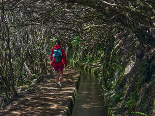 Madeira, Madera, Ilha da Madeira.  Levada do Alecrim, PR 6.2, levada, lewada © filozofgrecki