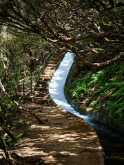 Madeira, Madera, Ilha da Madeira.  Levada do Alecrim, PR 6.2, levada, lewada © filozofgrecki