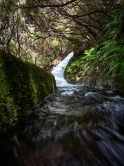 Madeira, Madera, Ilha da Madeira.  Levada do Alecrim, PR 6.2, levada, lewada © filozofgrecki