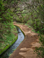 Madeira, Madera, Ilha da Madeira.  Levada do Alecrim, PR 6.2, levada, lewada © filozofgrecki