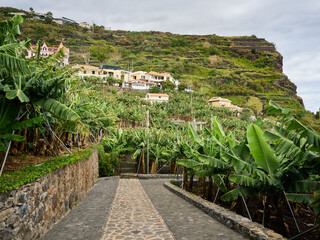 Fototapeta premium Madeira, Madera, Ilha da Madeira 