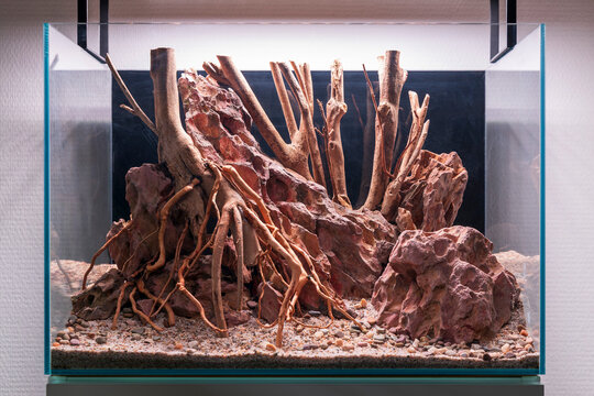Canyon Roots Aquascape, aquascaping hardscape design