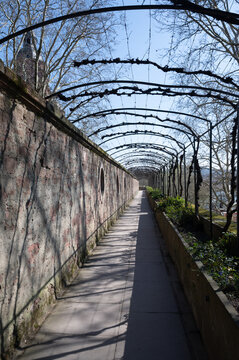 Footpath along the castle garden with old wall, open roof and trellises