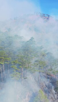 Mountain scenery shrouded in mist or smoke, with pine trees and terraced slopes visible in the Bontoc Sagada region. Serene and atmospheric natural landscape.