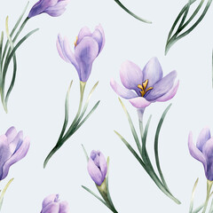 Crocus Seamless Pattern Spring Bulb Flower Watercolor hand drawn floral illustration isolated on light blue background © Leyla
