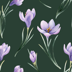 Crocus Seamless Pattern Spring Bulb Flower. Watercolor hand drawn floral illustration isolated on green background © Leyla