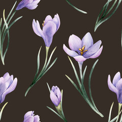 Crocus Seamless Pattern Spring Bulb Flower. Watercolor hand drawn floral illustration isolated on dark background Easter © Leyla