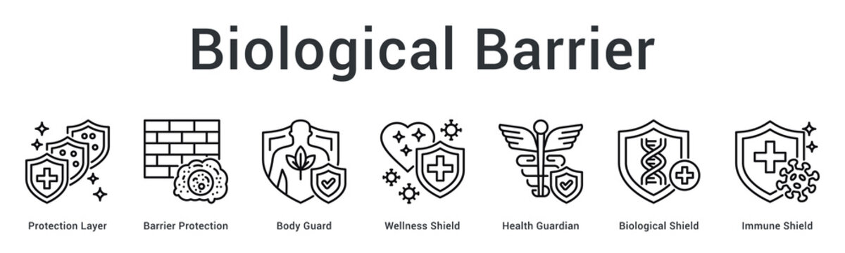 Biological barrier banner web icon creates multiple protection layers guarding body against external threats effectively.