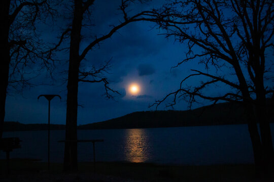 Full moon, April 2026 Pink Moon reflected in the lake water, framed by early spring oak tree branches.