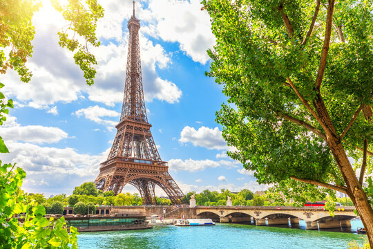 View on the Eiffel Tower from a typical street between the trees of Paris, France