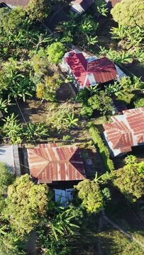 Drone shot of scattered rural houses with metal roofs surrounded by lush greenery and banana trees in the countryside near Bontoc, Philippines.