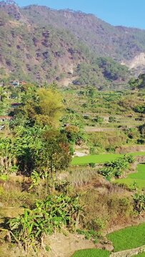 Lush green rice terraces stretch across a rural valley with forested mountains in the background near Bontoc and Sagada, Philippines. Vibrant vegetation and layered fields create a scenic agricultural