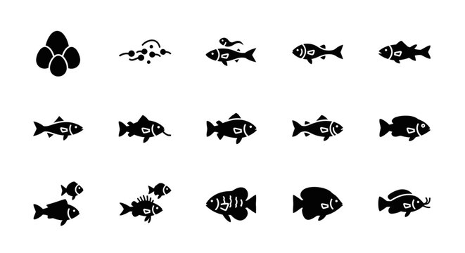 Black fish icons on white background.