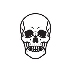 Fototapeta premium Human Skull Illustration Front View Line Art Isolated on White Stock Graphic