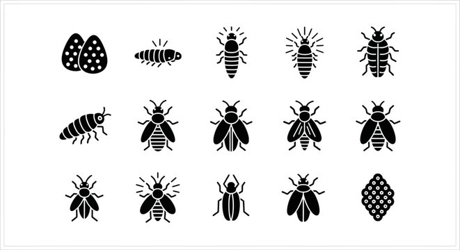 Variety of Insect Silhouettes Displayed.