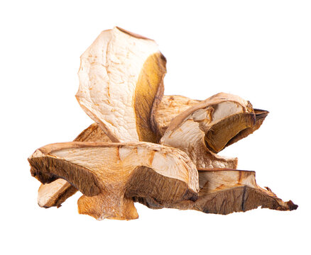 Dried porcini mushrooms isolated on white background. Clipping path.