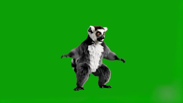 A realistic 3D render of a ring-tailed lemur in a dynamic dancing pose with arms and legs extended. This animated character is isolated on a chroma key green background for seamless video compositing.