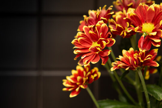 Red and yellow flowers on the black tile background
