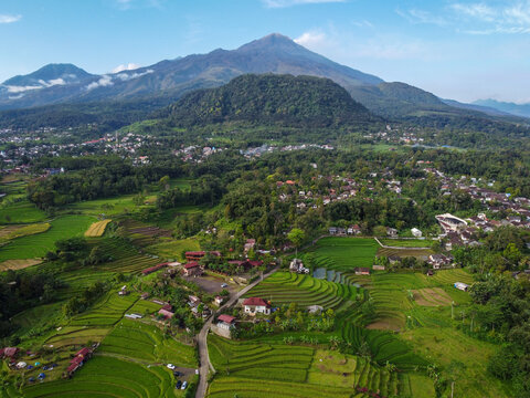 Aerial view of Mount Welirang with terraced rice fields, rural village settlement, and green valley landscape in East Java, Indonesia