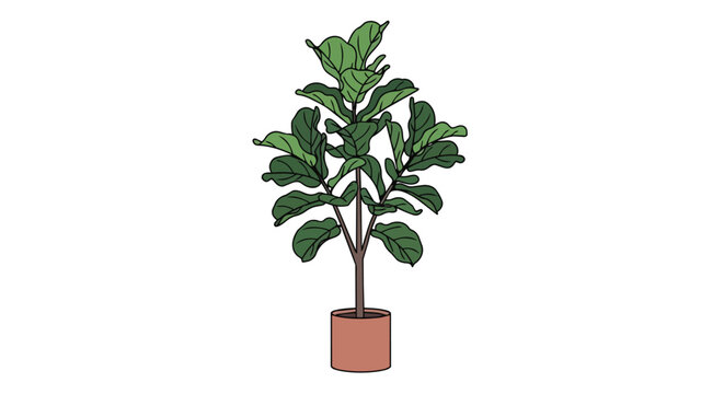 Minimalist Illustration of a Potted Fiddle Leaf Fig Plant