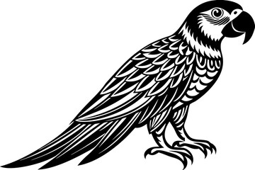 Obraz premium Parrot perched displaying feather pattern in line art illustration