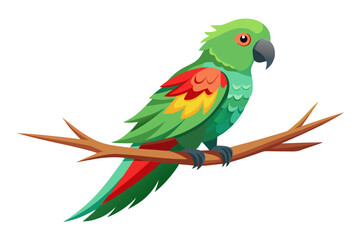 Obraz premium Green parrot with colorful wings perched on branch