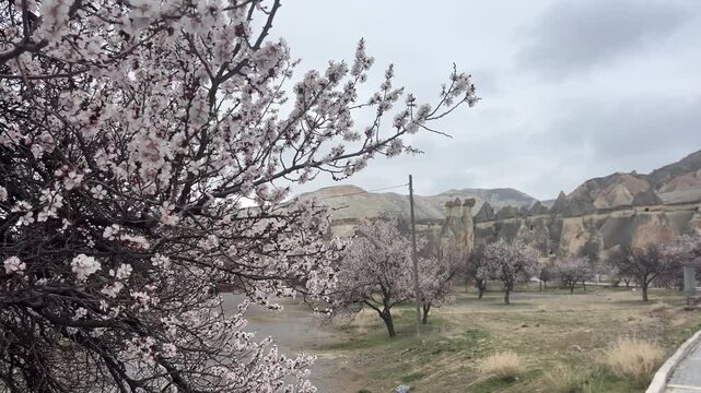 Cappadocia turkey landscape rock formation