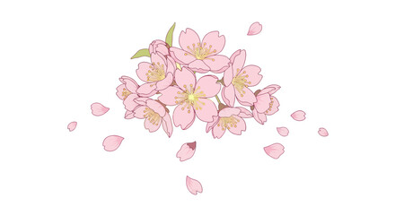 Fototapeta premium Delicate Cherry Blossom Branch with Falling Petals