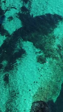 Scenic aerial shot of boats moored at a wooden pier in the clear turquoise waters of Plage du Petit Sperone, Corsica. Lush greenery and rocky coastline frame the vibrant Mediterranean scene.