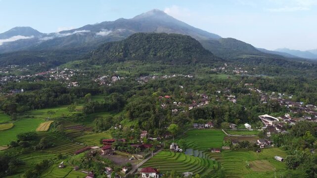 Aerial view of Mount Welirang with terraced rice fields, rural village settlement, and green valley landscape in East Java, Indonesia