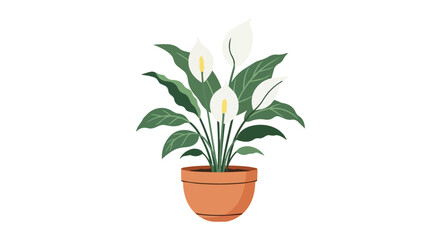 Fototapeta premium Potted Peace Lily Plant Illustration