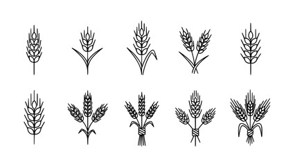 Fototapeta premium Minimal outline wheat and barley icon set line grain symbols for bakery agriculture logo vector
