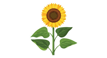 Fototapeta premium Single Sunflower Illustration with Green Leaves Isolated on White Background