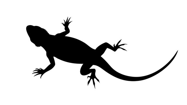 Lizard Silhouette Vector Icon Top View Reptile Isolated on White Background