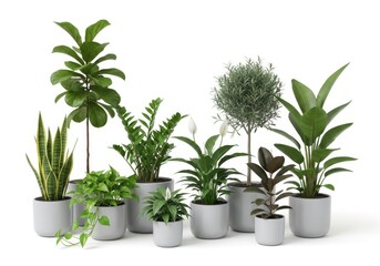 Obraz premium collection of potted houseplants on white background minimalist decor