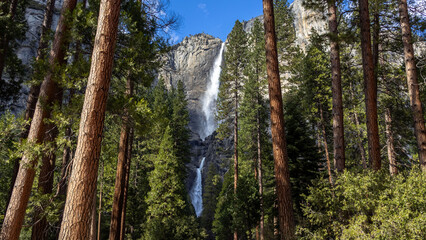 Obraz premium Yosemite National Park California