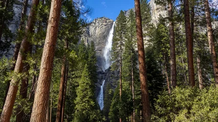 Fotobehang Yosemite Yosemite National Park California  © David