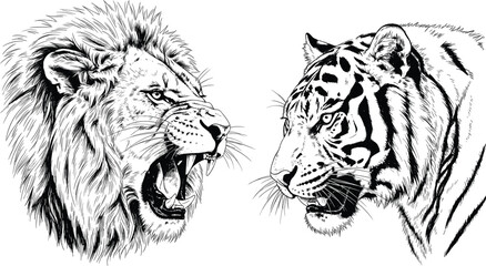 Lion and Tiger Roaring Face-Off Illustration in Black and White for Wildlife, Animal, and Predator Design © Mominul