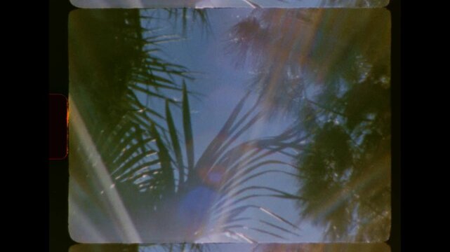 Low angle shot of sunlight flaring through palm tree leaves. The footage has a vintage, retro 8mm film aesthetic with light leaks, film grain, and sprocket holes visible