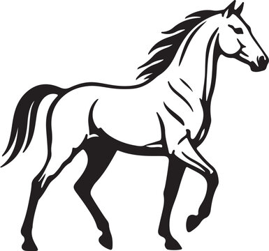 Akhal Teke horse in silhouette on white background.
