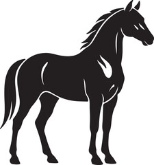 Obraz premium Kathiawari Horse in silhouette on white background