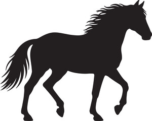 Obraz premium Lusitano Horse in silhouette on white background new style..