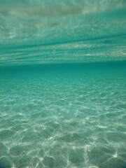Obraz premium Tropical Marine Life in Crystal Clear Tropical Underwater