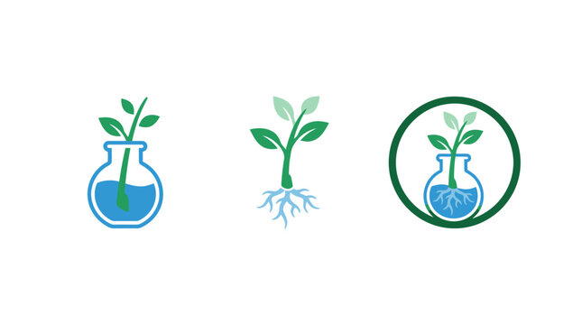 Biotechnology Concept: Plant Growth in Lab Flasks and Circle Icon