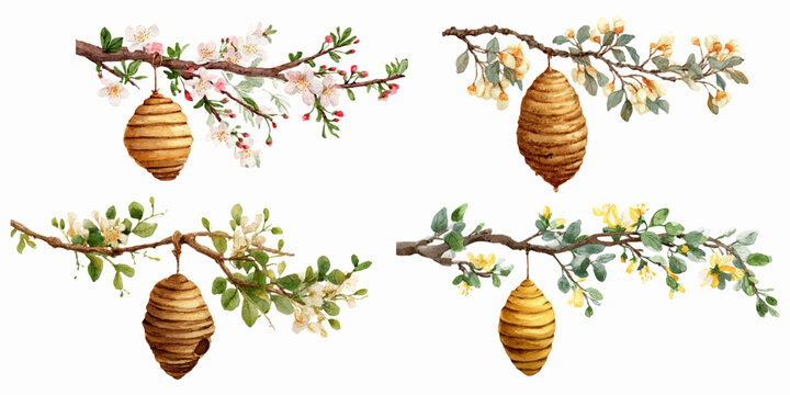 Watercolor wild bee hives on a tree branch. Wild bee house hanging on a flowering branch. Cute set inspired by nature, perfect for children's designs and decorative projects.